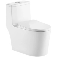 Напольный унитаз-моноблок безободковый Gid Tr2203