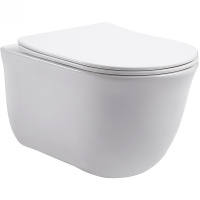 Подвесной безободковый унитаз Aquatek Классик  AQ1111-00 микролифт