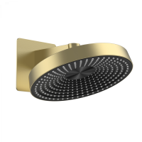 Верхний душ WONZON & WOGHAND, брашированное золото WW-HS099-BG Верхний душ WONZON & WOGHAND, брашированное золото WW-HS099-BG