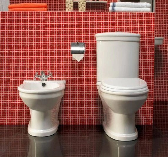 Биде напольное Cezares Primo CZR-621-T