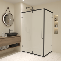 Душевой уголок (120х90) RGW Classic CL-046B 350904629-24 матовое