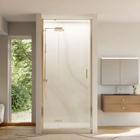 Душевая дверь (100x195) Veconi Vianno VN73G-100-01-C4