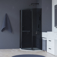 Душевой уголок (100х100) RGW HO-081-B 350608100-34 тонированное