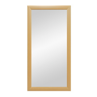 Зеркало (60x120) Continent Бук Б112