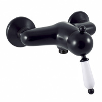 Смеситель встраиваемый для душа Rav Slezak Labe L581.5CMAT