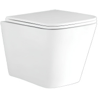 Подвесной безободковый унитаз Aquatek Дельта AQ1911-00 микролифт