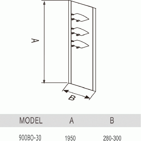 Душевая перегородка WeltWasser WW900 900B-30 (10000002929)