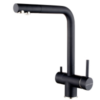 Смеситель для кухни с подключением к фильтру  Paulmark Skalen Sk213020-418