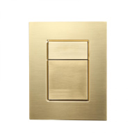 Кнопка смыва для инсталляции пневматическая WONZON & WOGHAND, брашированное золото WW-IB256-BG