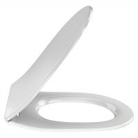 Крышка-сиденье Jacob Delafon Odeon Rive Gauche E24889-00