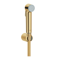 Душевой набор Grohe Tempesta-F Trigger Spray 30 27513 GL1 (27513GL1) холодный рассвет глянец Душевой набор Grohe Tempesta-F Trigger Spray 30 27513 GL1 (27513GL1) холодный рассвет глянец