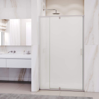 Душевая дверь 100 см RGW Passage PA-008 350800801-21  матовое