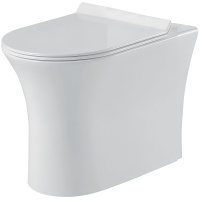 Унитаз приставной BelBagno Ancona BB1224CBR-P