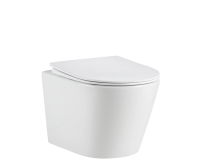 Подвесной унитаз безободковый Gid Tr2130TF