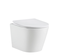 Подвесной унитаз безободковый Gid Tr2130TFB