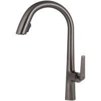 Смеситель для кухонной мойки Kaiser Strike (09066-15)