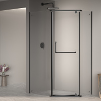 Душевой уголок (120х80) RGW Passage PA-091B 35089182-14 прозрачное