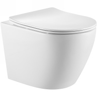 Унитаз подвесной безободковый SantiLine SL-5025 с сиденьем микролифт