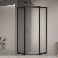 Душевой уголок (100х100) RGW Passage PA-86B 38088600-14 прозрачное
