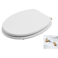 Сиденье для унитаза с микролифтом Azzurra Charme CHA1800/F bi/oro