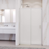 Душевая дверь 120 см RGW Passage PA-017 350801712-21 матовое