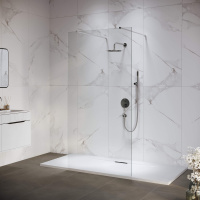 Душевая перегородка 100 см RGW WA-016 Walk In 35101610-11 прозрачное