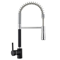 Смеситель для кухни Teka ARES 23939120N