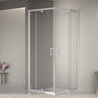 Душевой уголок (80х80) RGW Passage PA-038 350803888-11 прозрачное