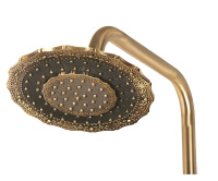 Верхний душ Bronze de Luxe «ДВОЙНОЙ ЦВЕТОК» 1915