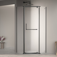 Душевой уголок (80х80) RGW Passage PA-081B 35088188-24 матовое