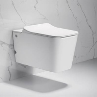 Подвесной безободковый унитаз Cerutti Spa Disgrazia Aria C-370C с импульсным смывом, сиденье Soft Close, белый