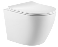 Унитаз подвесной безободковый SantiLine SL-5025Z с сиденьем микролифт