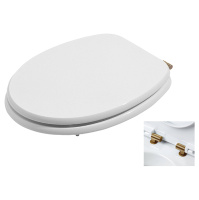 Сиденье для унитаза Azzurra Charme CHA1800/F bi/br