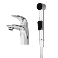 Смеситель для раковины с гигиеническим душем Damixa Palace Bit 310300000