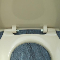 Сиденье унитаза для Geberit AquaClean 8000plus/8000: Бежевый Вahama 250.034.10.1