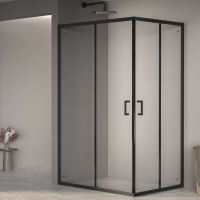 Душевой уголок (100х90) RGW Passage PA-040 350804090-14 прозрачное