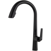 Смеситель для кухонной мойки Kaiser Strike (09066-2)