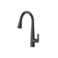 Смеситель для кухни с выдвижным изливом Arrow AG4519MB черный