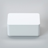 Бокс прямоугольный с крышкой CEZARES TITAN-RECT-SCAT