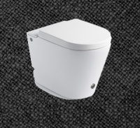 Унитаз Cerutti Argentera B-380B приставной, с импульсным смывом, 2 кнопки, сиденье Soft Close