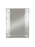 Зеркало (53,5x68) Continent Камелия В029