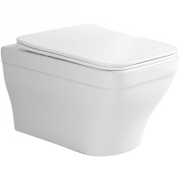 Унитаз подвесной безободковый Aquatek Амадео AQ1163-00 микролифт