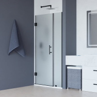 Душевая дверь 100 см RGW Hotel HO-012-B 350601200-24 матовое