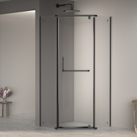 Душевой уголок (80х80) RGW Passage PA-081B 35088188-14 прозрачное