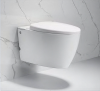 Подвесной безободковый унитаз Cerutti Spa Kanin Aria C-375C с импульсным смывом, сиденье Soft Close, белый