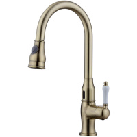 Смеситель для кухонной мойки KAISER Vincent (31366-1)