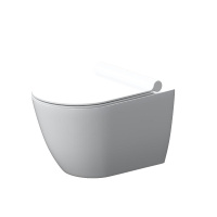 Подвесной унитаз безободковый с сиденьем микролифт Damixa Apollo DX22C1700SC