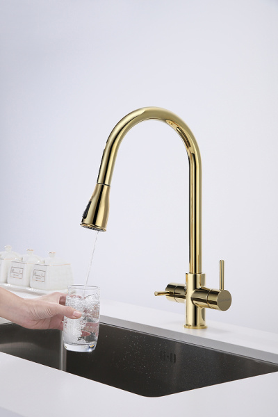 Смеситель для кухни с подключением к фильтру  Paulmark Lange La214212-G