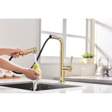 Смеситель для кухни Paulmark Neo Ne214419-G