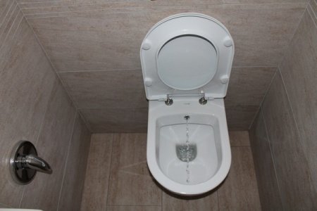 Унитаз подвесной с функцией биде Creavit Terra TP325-00CB00E-0000